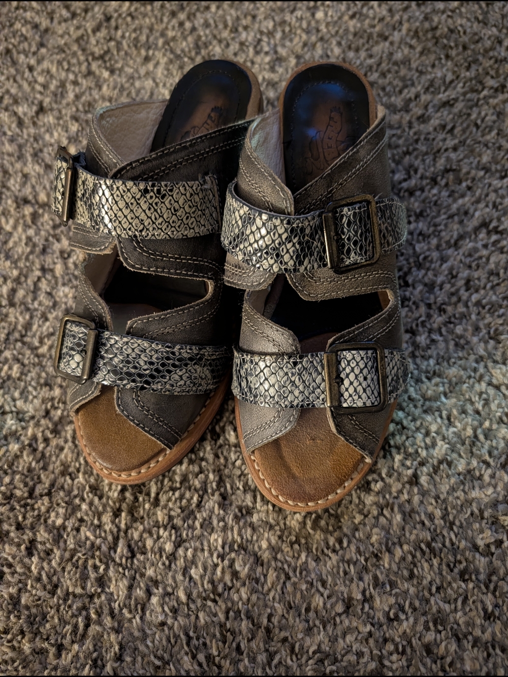 freebird Grey Snakeskin-Accent Leather Buckle Sandals
